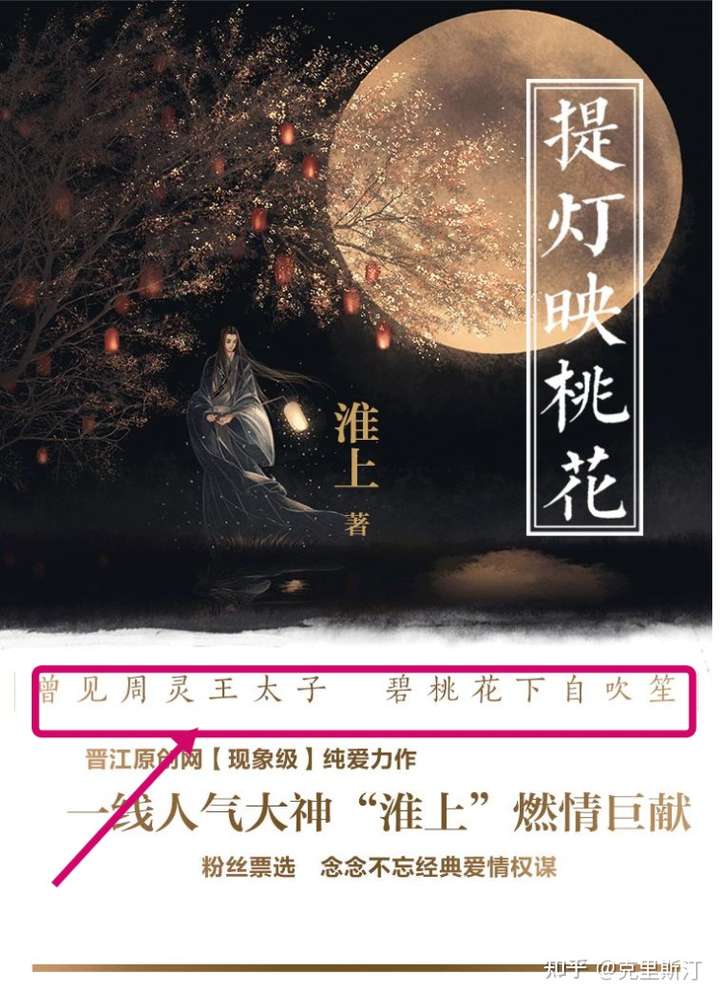 提灯映桃花到底说了什么?