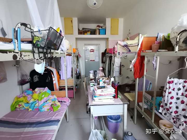 山东经贸职业学院的宿舍条件如何?校区内有哪些生活设施?