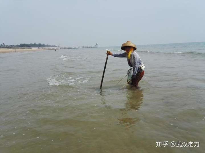 老刀：我国有哪些美丽、安全、无海腥味的海滩？