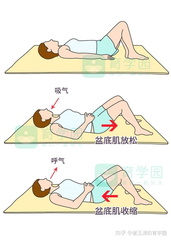 凯格尔运动怎么做?