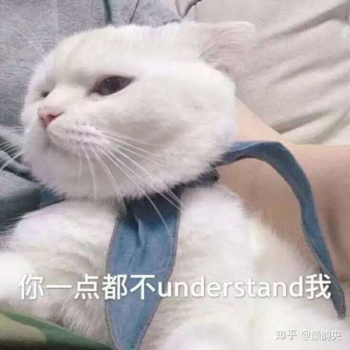 我这个表情包算吗