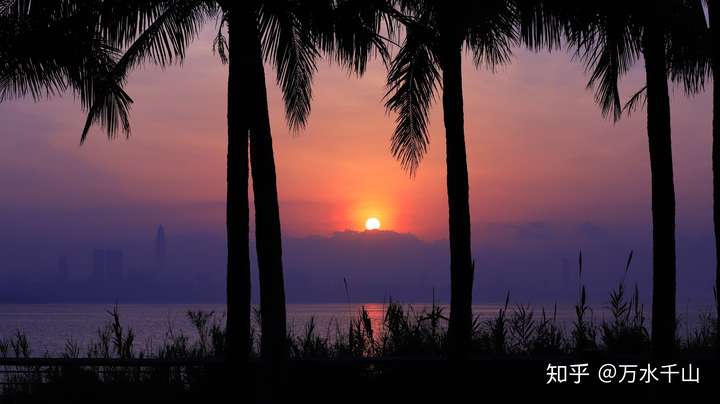 深圳湾的朝霞:坐标深圳湾日出广场