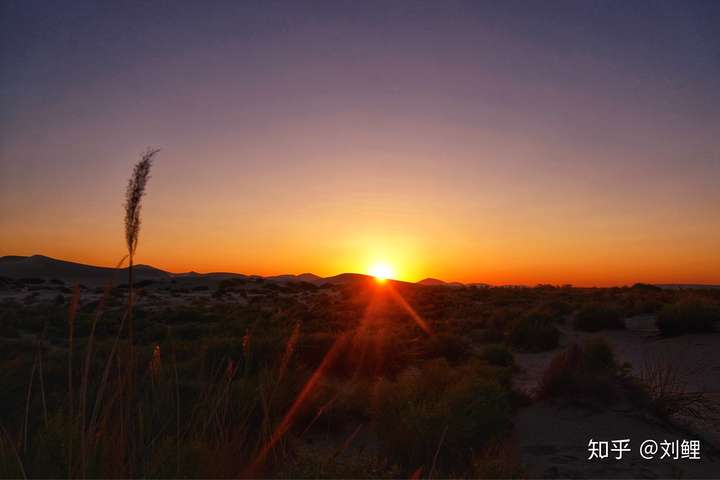 你好 陌生人 可以留下一张夕阳的照片吗?