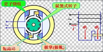 电风扇电机转子为啥没绕组如图