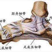 距腓前韧带