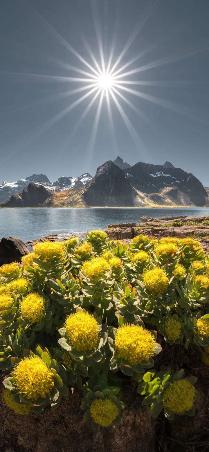 有哪些比较好看的风景壁纸?