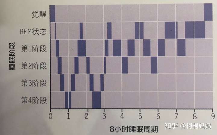 每个睡眠周期经历5个阶段,从浅睡,梦境,深度睡眠,再回到浅睡.