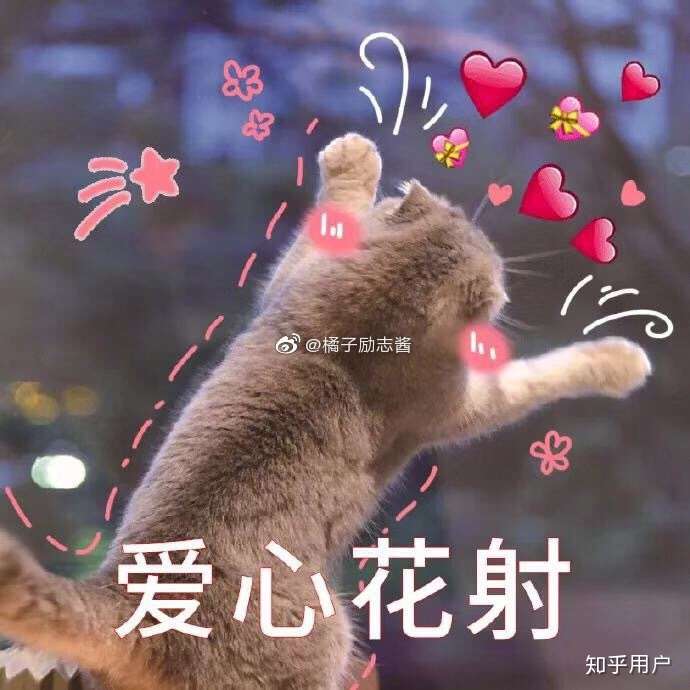 你遇到了一个满心满眼都是你的人了吗?