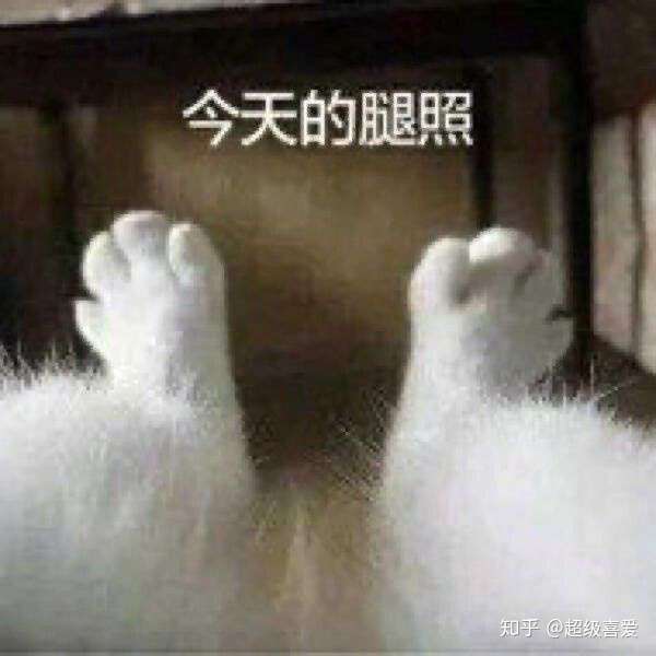 要坚持鸭