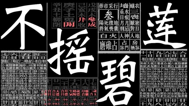 怎么说呢 不知羞耻啊
