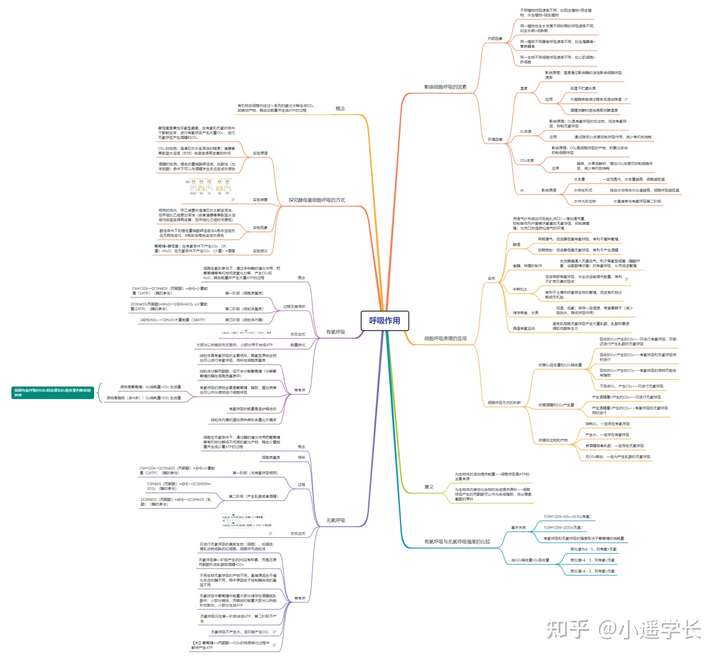 呼吸作用思维导图