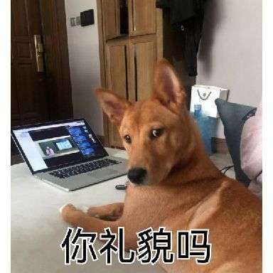 单身狗文案怎么发
