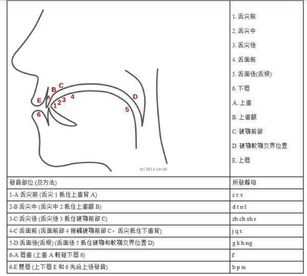 舌头的正确位置