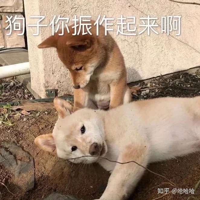 感觉生无可恋了,陌生人可以对我说一句鼓励的话吗?