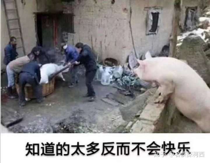 要不要从小就告诉孩子世界真实的模样?