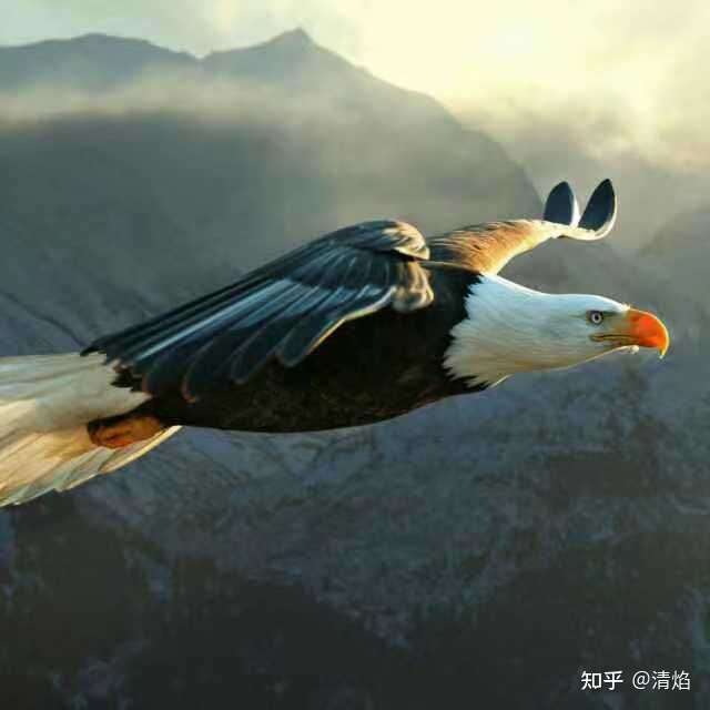 微信头像会影响第一印象吗?