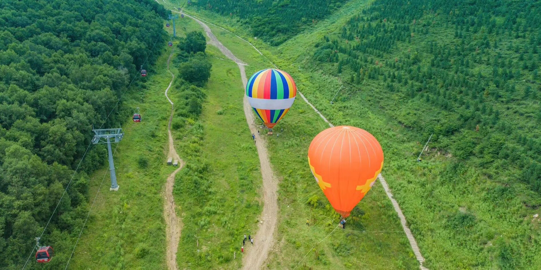 阿果果小可怜儿