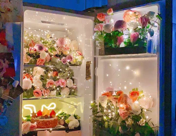 给女朋友惊喜用哪些花装满整个冰箱