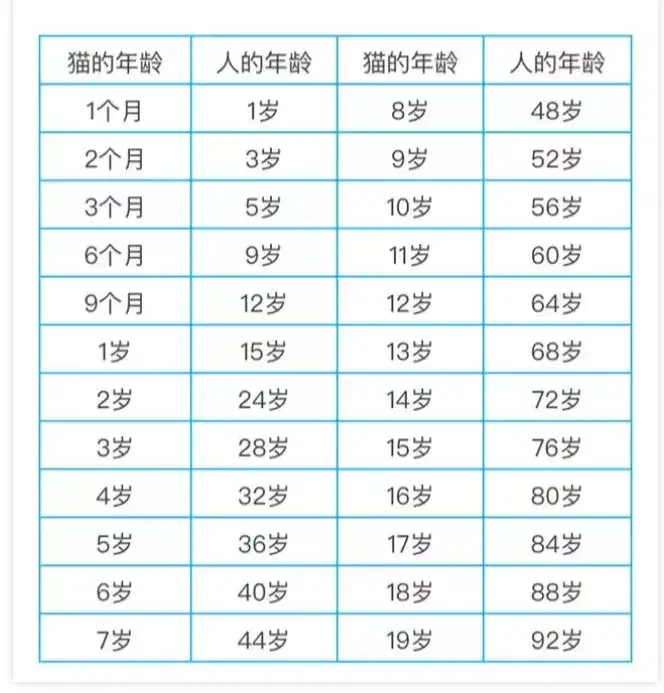 猫咪年龄换算原来我家猫年龄比我还大