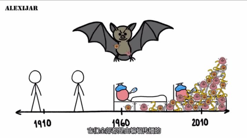 人类:蝙蝠野味一直有人吃,为啥疫情最近才爆发?