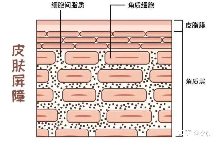 敏感肌修复皮肤屏障产品,选哪个?