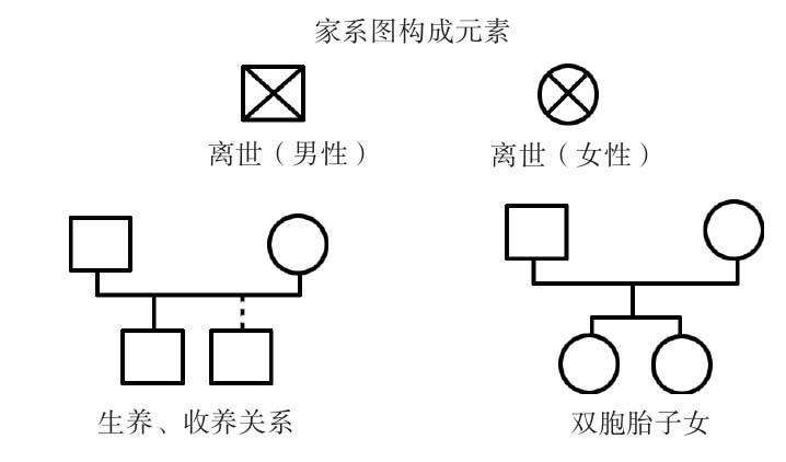 收藏家谱图家系图的制作技术