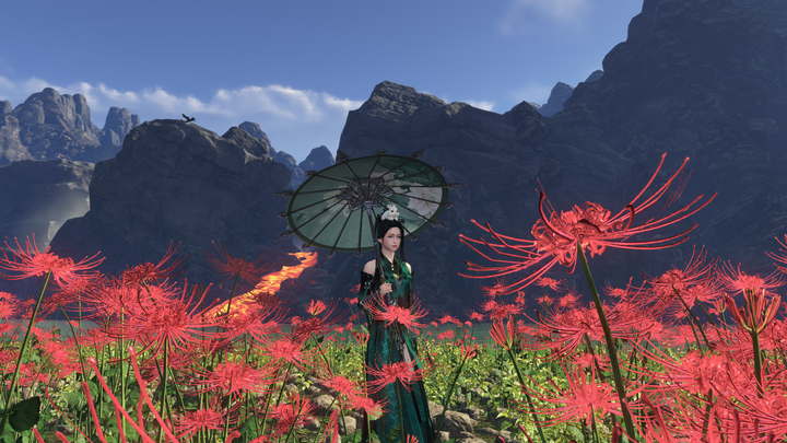 云颠的彼岸花