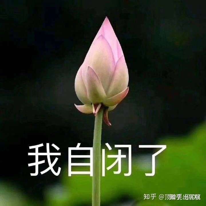 因为爱豆被说是白莲花收集了好多莲花的图