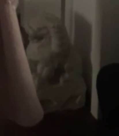 王大可 的想法: 补光灯情趣内衣什么的我都懂,但是