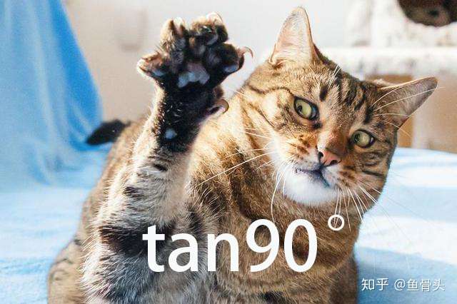 求一张猫咪tan90表情包