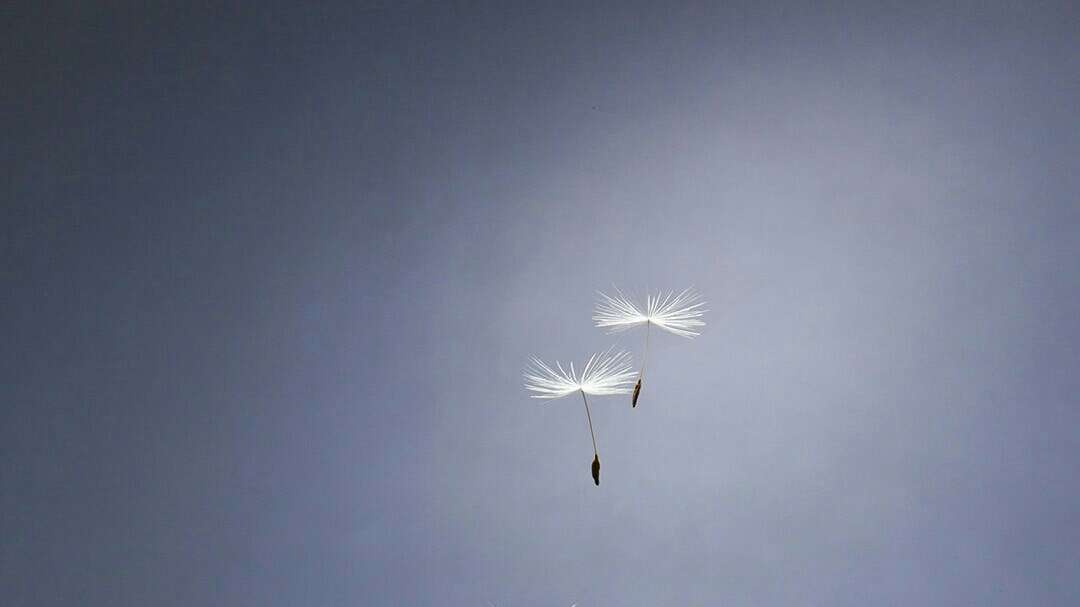 未来可期