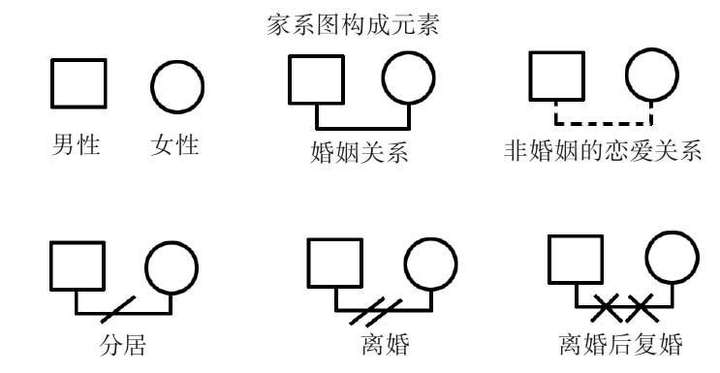 在家谱图中,图形代表人,线代表关系.