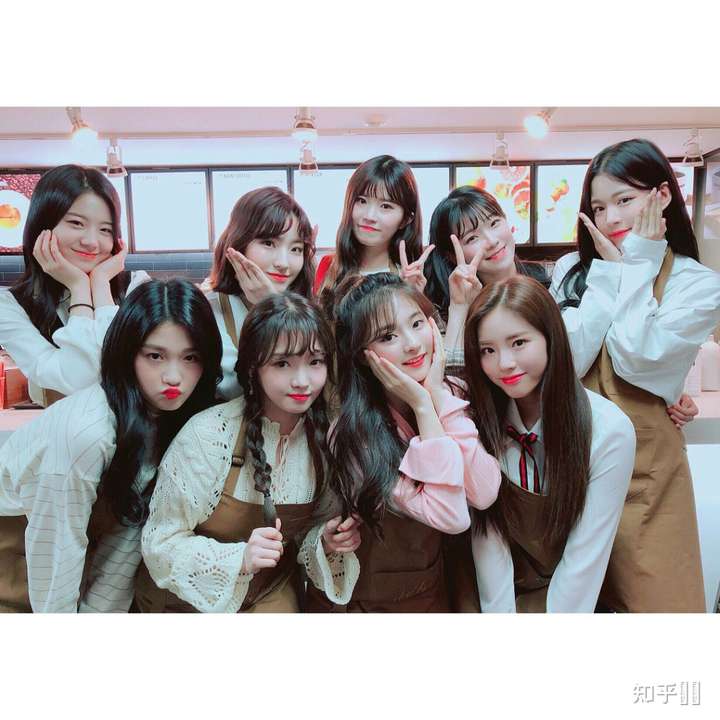 想问问大家对fromis_9(米斯)的看法和印象?