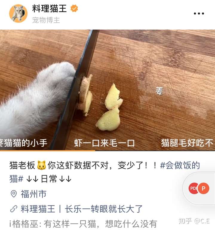 如何评价b站up主料理猫王长安?