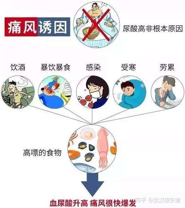 尿酸高,怕痛风,日常你该怎么吃?