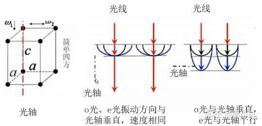 o光与e光与晶体光轴