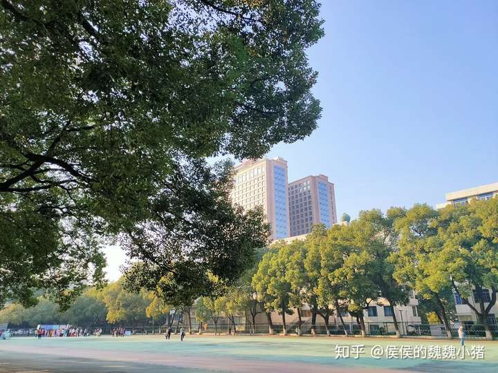 湖南中医药大学湘杏学院怎么样,宿舍条件如何?