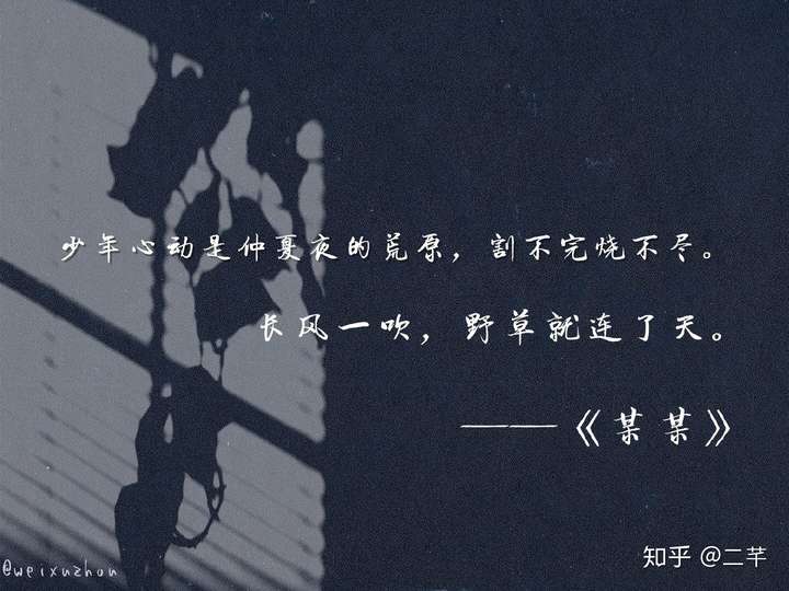 求推超好看的原耽小说不费脑无雷点 ?