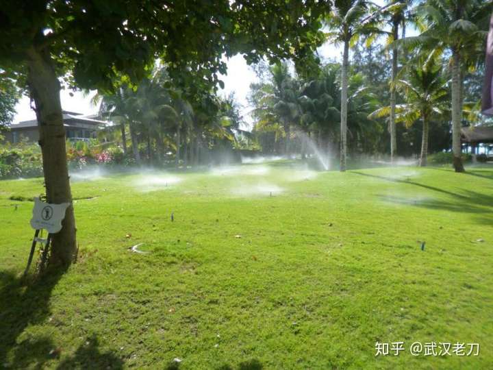 老刀：我国有哪些美丽、安全、无海腥味的海滩？