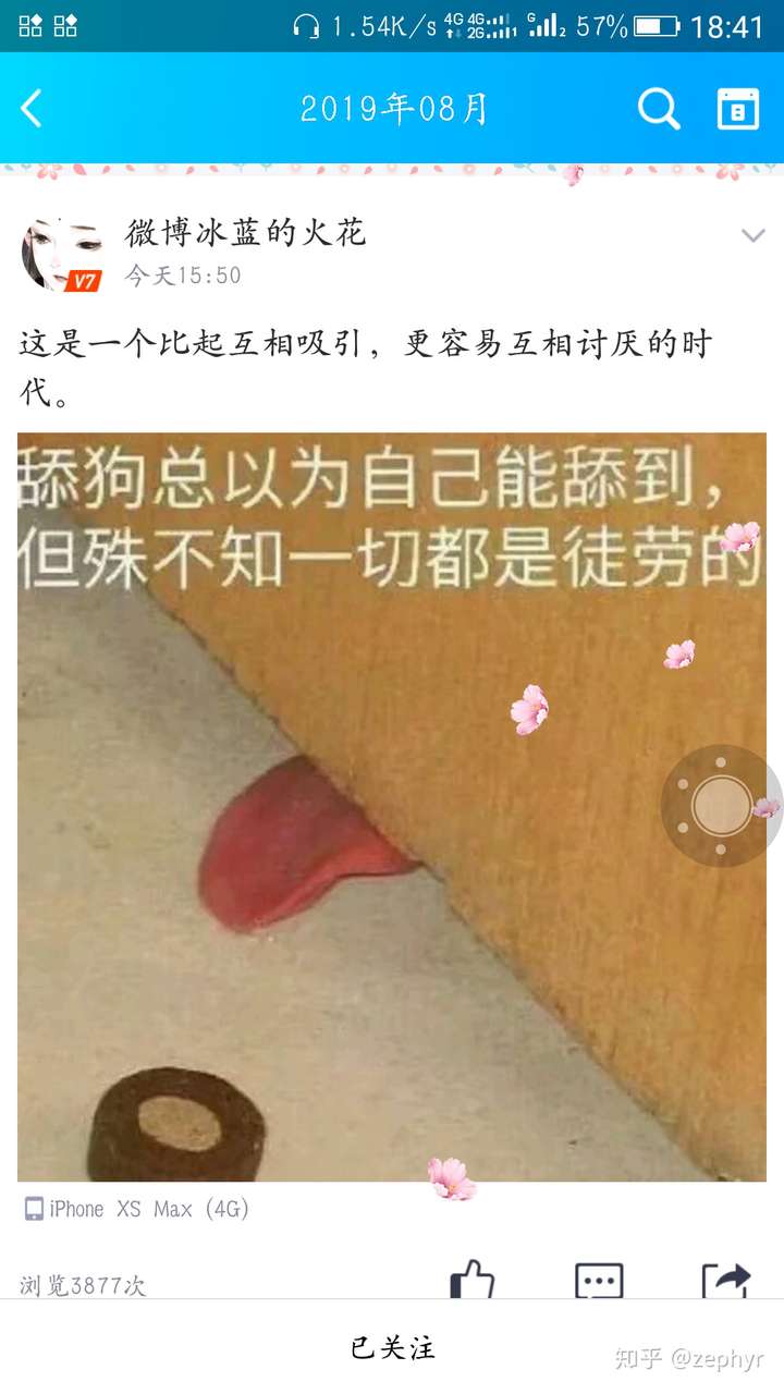 舔就完事了