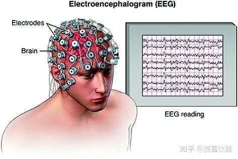 干货|详解eeg脑电原理及两种主流脑电设备对比 知乎