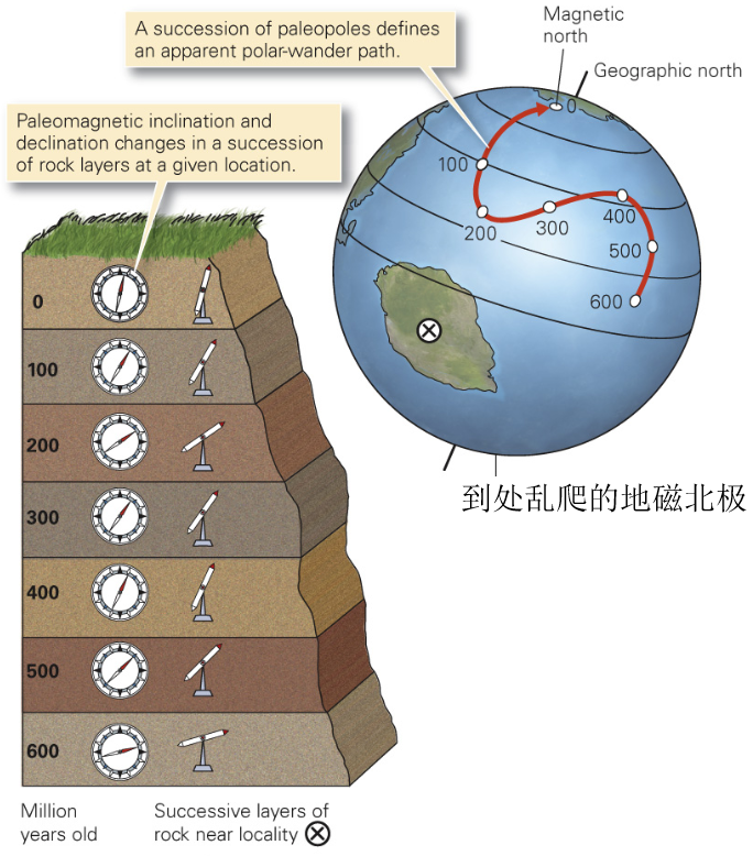 古地磁极(paleomagnetic pole,不反应岩石形成时真实的地球磁极位置