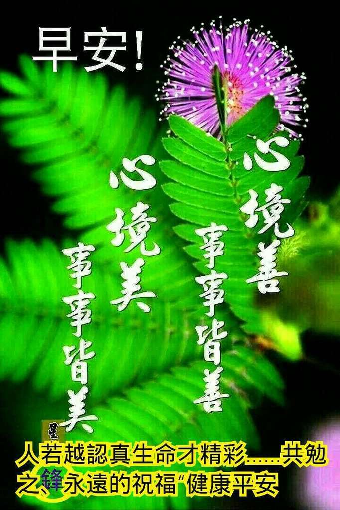 相互组合,可以覆盖80%以上: 语言三大类:早午晚问候类,鸡汤祝福类