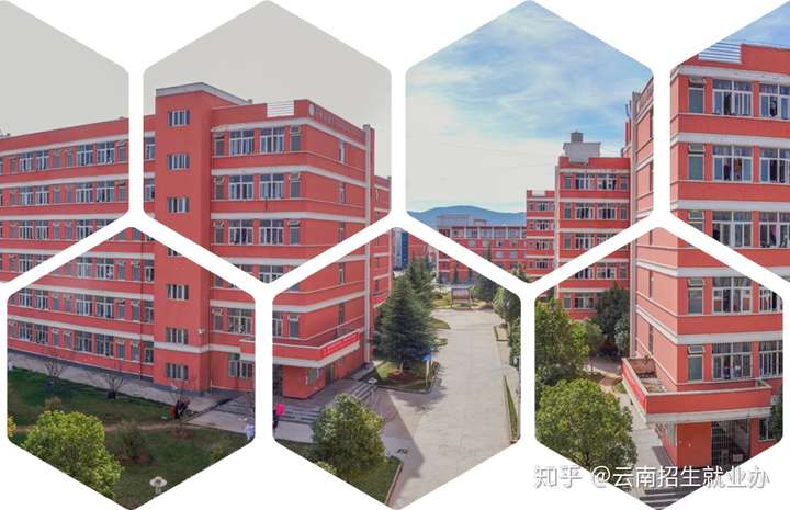 曲靖医学高等专科学校2020年口腔医学 临床医学扩招简章