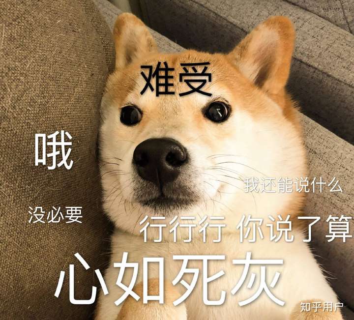 不要被带跑偏  你们就是他最大的底气 对了 在我妈眼里 他就是一特