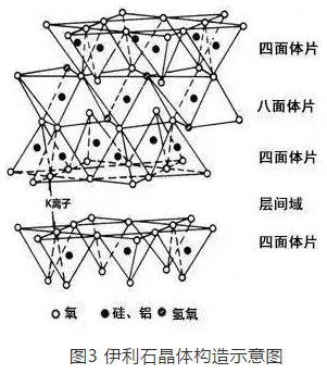 伊利石和蒙脱石的结构基本相似,同属于2:1型的铝硅酸盐矿物,是单斜晶