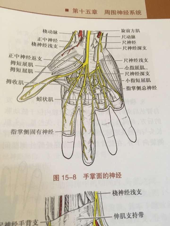 首先表达一下对于楼上天赋异禀的少年们的敬佩,反正我是无法做到在不