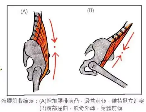 如何拉伸髂腰肌?