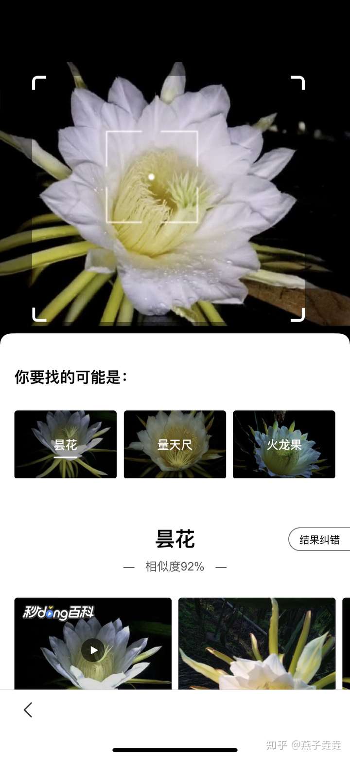 百度"昙花"——得到花语,昙花一现.