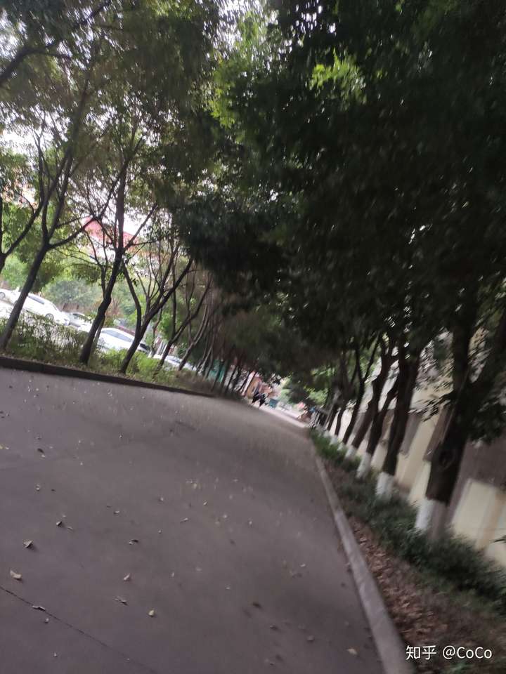 成都师范学院的校园环境如何?